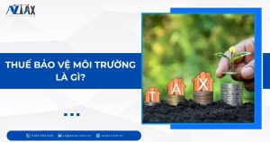 Thuế bảo vệ môi trường là gì?